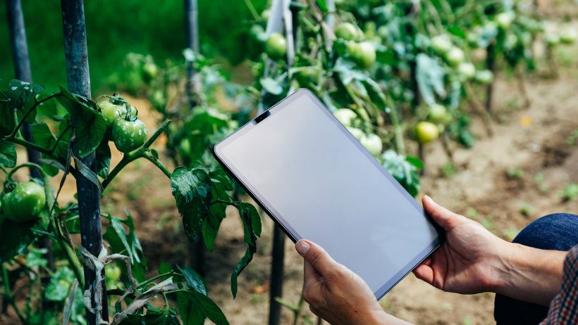 Innovative Agricultural Technologies: Enhancing Productivity and ...